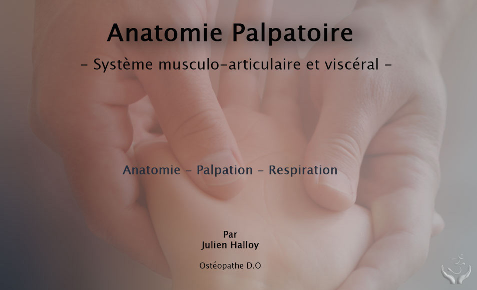Anatomie palpatoire Paris 01