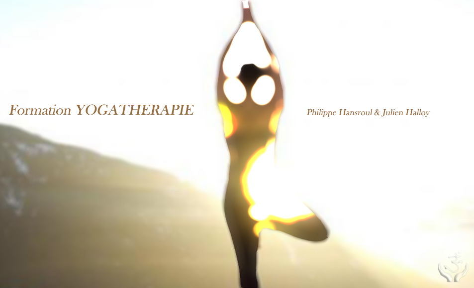 Formation Yogatherapie Wavre 01